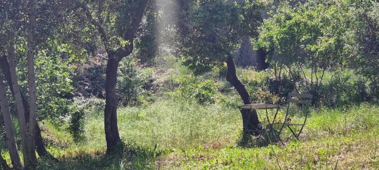 Les Bois De Zola Entre Provence Et Luberon Aparthotel Saint-Esteve-Janson Стая снимка