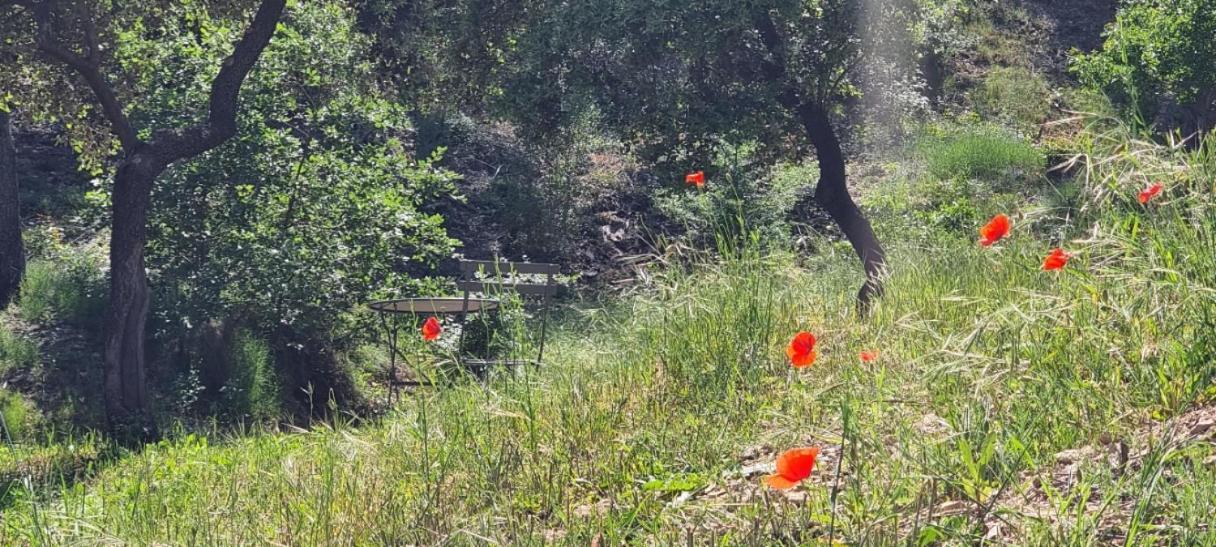 Les Bois De Zola Entre Provence Et Luberon Aparthotel Saint-Esteve-Janson Екстериор снимка