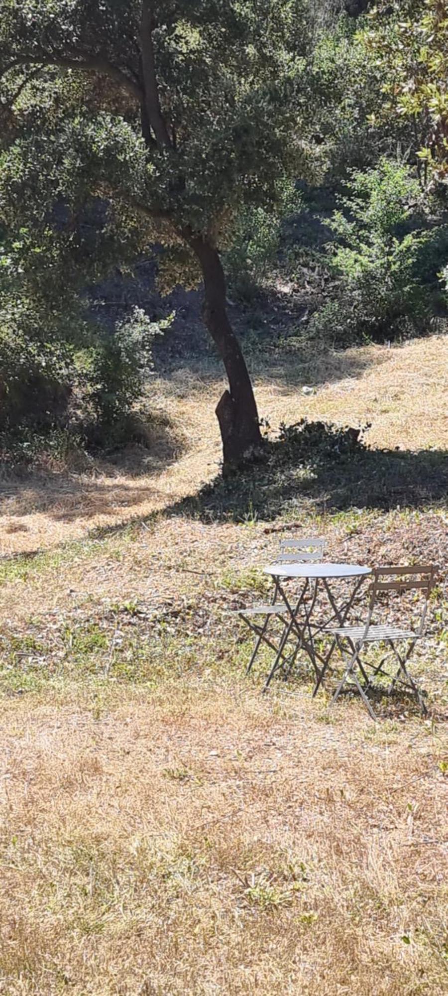Les Bois De Zola Entre Provence Et Luberon Aparthotel Saint-Esteve-Janson Екстериор снимка
